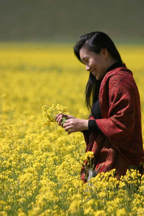 Face of Tibet