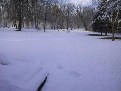 Snow!.JPG