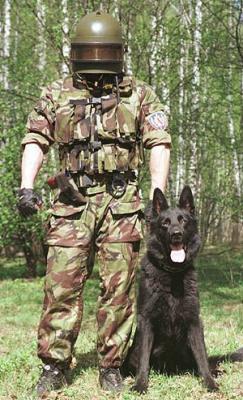 K9