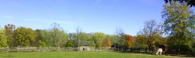 Split Rail Fence.jpg