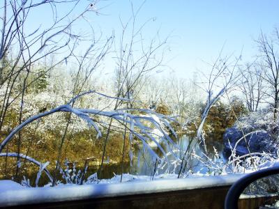 Pond Nov 25.jpg