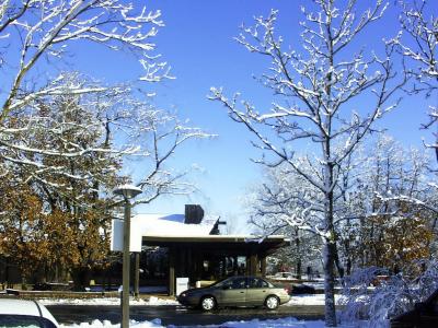 Wildlife Prairie State Park 2004