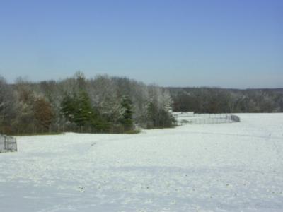 Prairie Nov 25.jpg