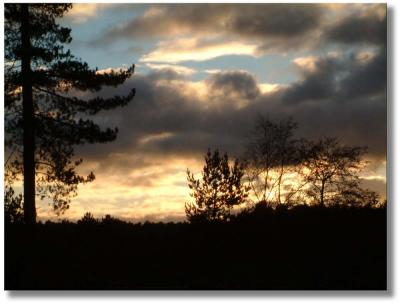 Winters Evening 3