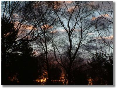 Winters Evening 2