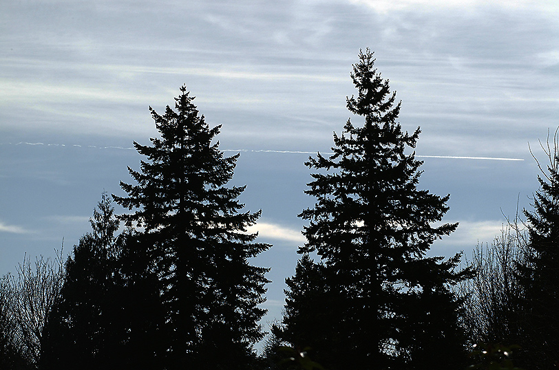 DSCF0179_web.JPG