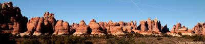 Stop #8 -- Canyonlands-Needles District