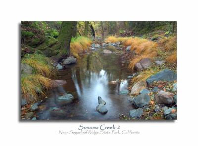 Sonoma Creek-2