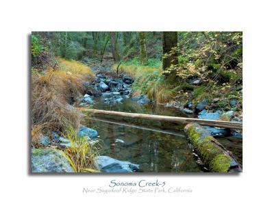 Sonoma Creek-5
