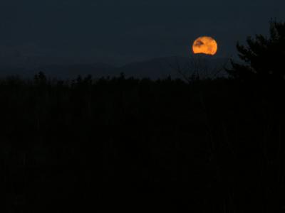 DSCN2992.JPG moon set over parker pond and mt Washington