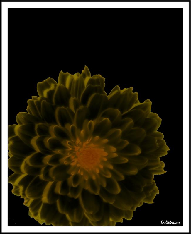 Mum Solarized and Blended