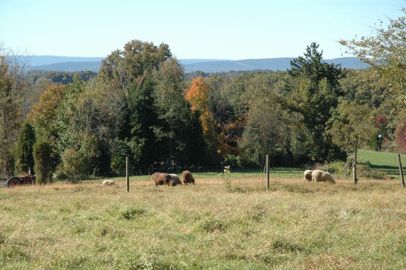 DSC_0081.JPG