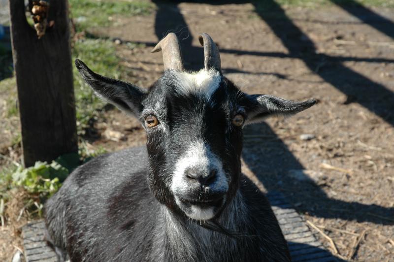 DSC_0092.JPG