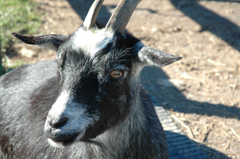 DSC_0094.JPG