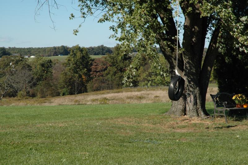 DSC_0106.JPG