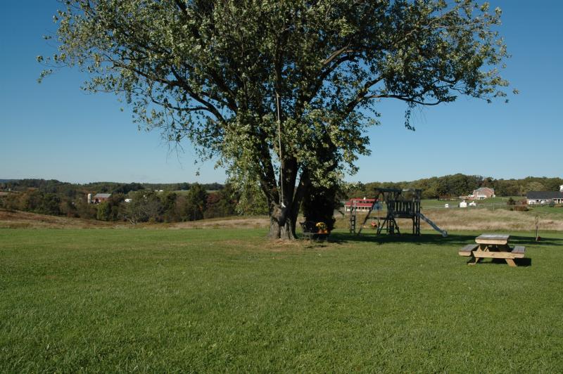 DSC_0108.JPG