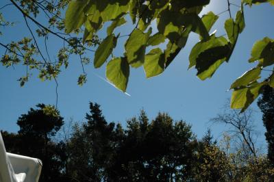 DSC_0053.JPG
