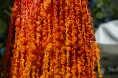 DSC_0063.JPG
