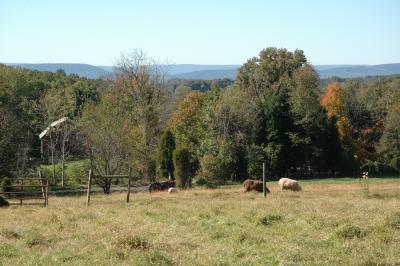 DSC_0070.JPG