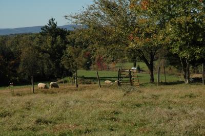 DSC_0079.JPG