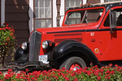 Historic Red Buses