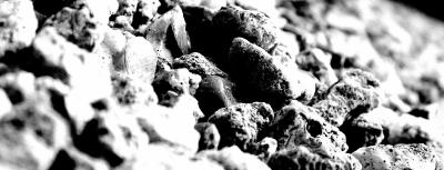 B & W.jpg