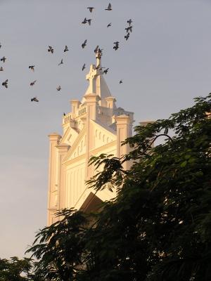 Birds and church steeple Duvall St.JPG