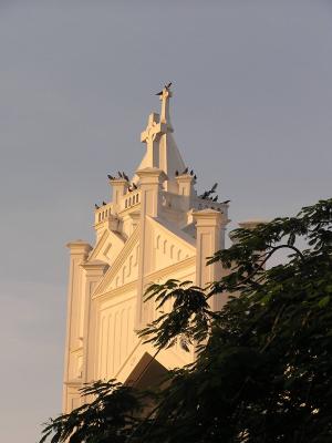 Birds on Church on Duvall St.JPG