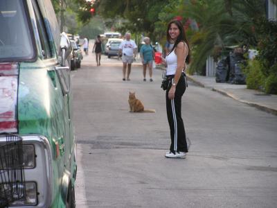 Cat in middle of street Key West.JPG