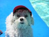 Allie in pool.JPG