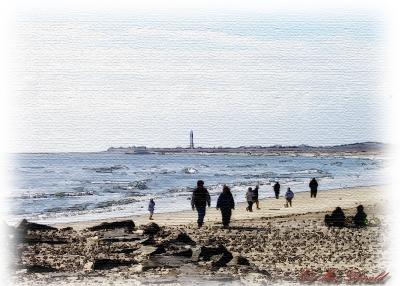 Hayes Island Photos