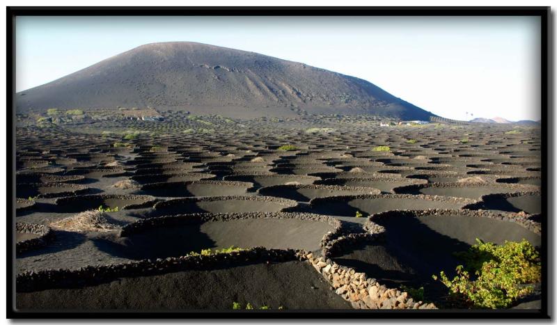 Lanzarote. La Geria.