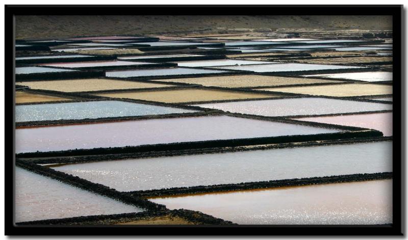 Lanzarote. Salinas de Janubio.