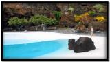 Lanzarote. Jameos del Agua.