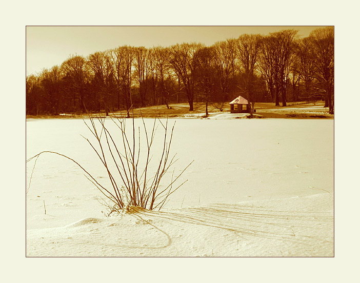 Hot Coffee,  Frozen Lake