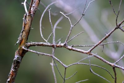 u21/elipio/medium/35112920.IMG_4231_filtered.jpg