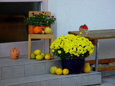 DSC04993.JPG