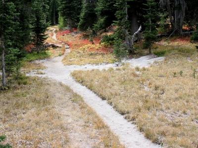 Bear Creek Meadow Trail