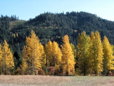 Fall by Leavenworth