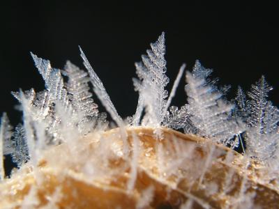 Close-up of Crystals