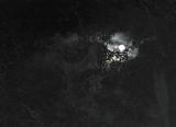 treemoon.jpg