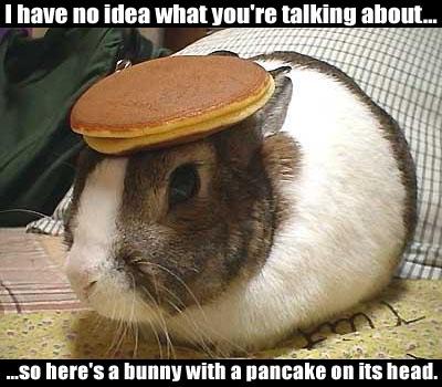 hahabunny