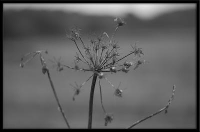 u21/f15todd/medium/35116819.50mm02.jpg