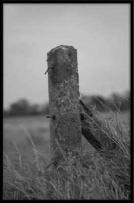 u21/f15todd/medium/35116830.50mm13.jpg