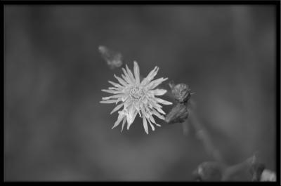 u21/f15todd/medium/35116838.50mm21.jpg