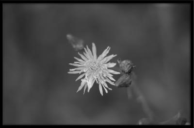 u21/f15todd/medium/35116839.50mm22.jpg