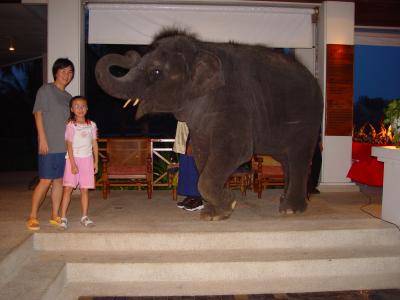 Elephant and I