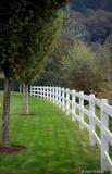 Curved fence line