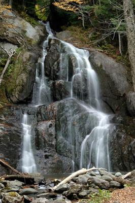 IMG_3229.jpg