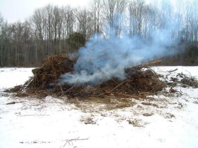 Pile is just too wet to burn -- bummer